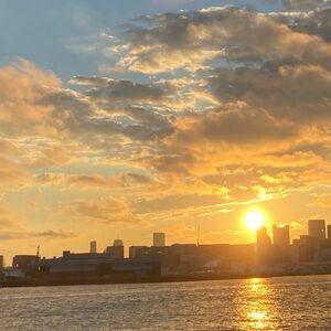 Meet your Posher, Susie